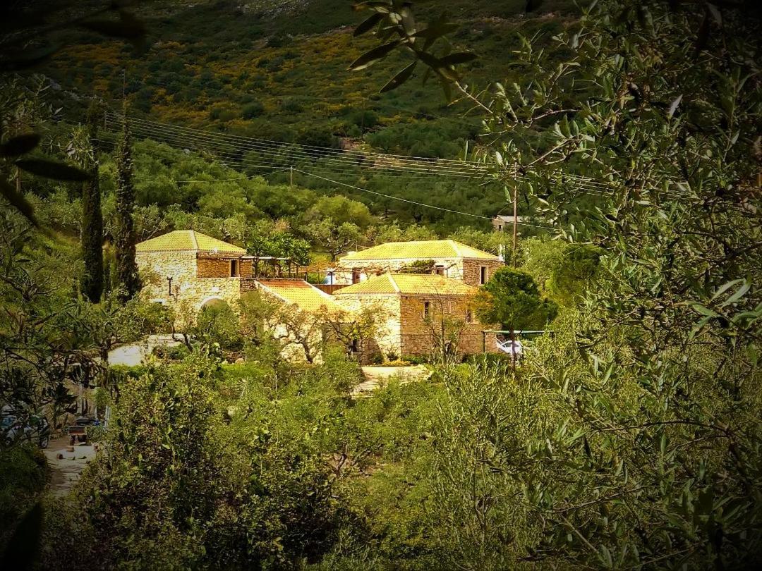 Tsivouli Accommodation Lithakia  Eksteriør bilde